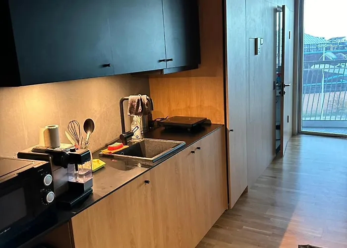 Central Apartment